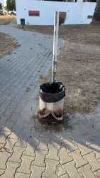 Photo of this report