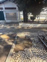 Photo of this report