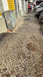 Photo of this report