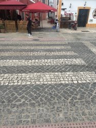 Photo of this report