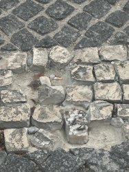 Photo of this report