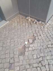 Photo of this report