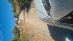 Photo of this report