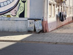 Photo of this report