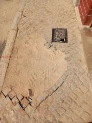 Photo of this report