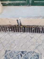 Photo of this report