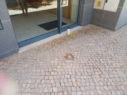 Photo of this report