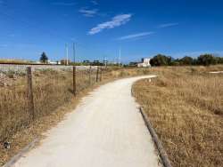 Photo of this report