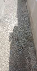 Photo of this report