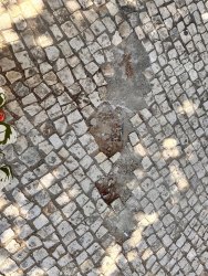 Photo of this report