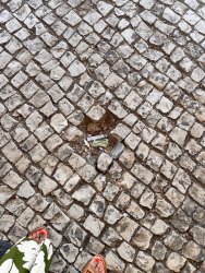 Photo of this report