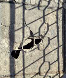 Photo of this report