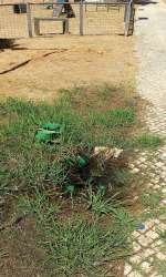 Photo of this report