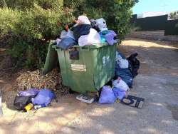 Photo of this report