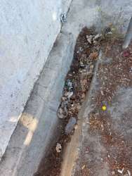 Photo of this report