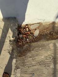 Photo of this report