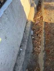 Photo of this report