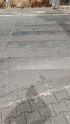 Photo of this report