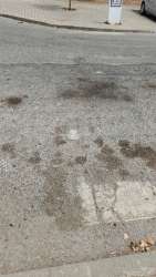 Photo of this report