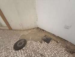 Photo of this report