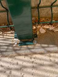 Photo of this report