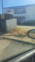 Photo of this report