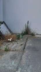 Photo of this report