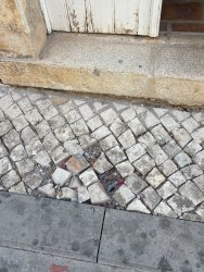 Photo of this report