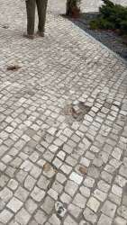 Photo of this report