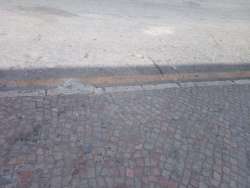 Photo of this report