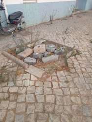 Photo of this report