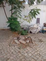 Photo of this report