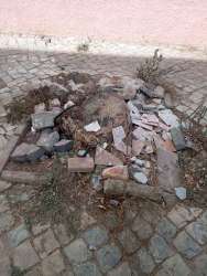 Photo of this report