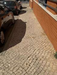 Photo of this report