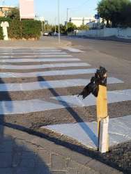 Photo of this report