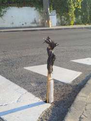 Photo of this report