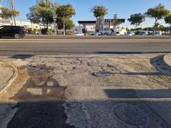 Photo of this report