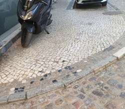 Photo of this report