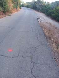 Photo of this report