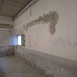 Photo of this report