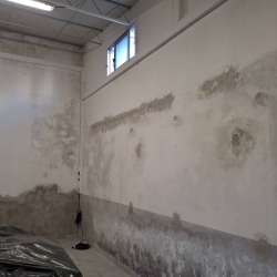 Photo of this report