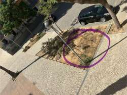 Photo of this report