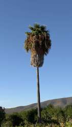 Photo of this report