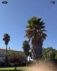 Photo of this report