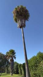 Photo of this report