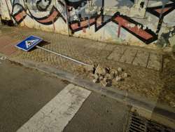 Photo of this report