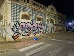 Photo of this report