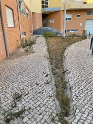 Photo of this report