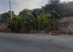 Photo of this report