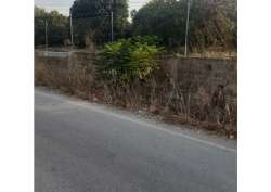 Photo of this report